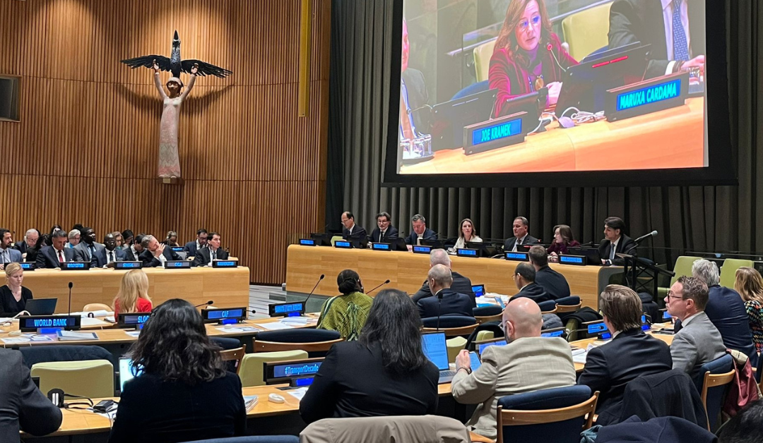 Shaping the UN Decade of Sustainable Transport